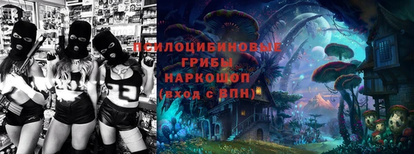 герыч Гатчина